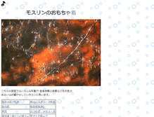Tablet Screenshot of mosurin.town-web.net